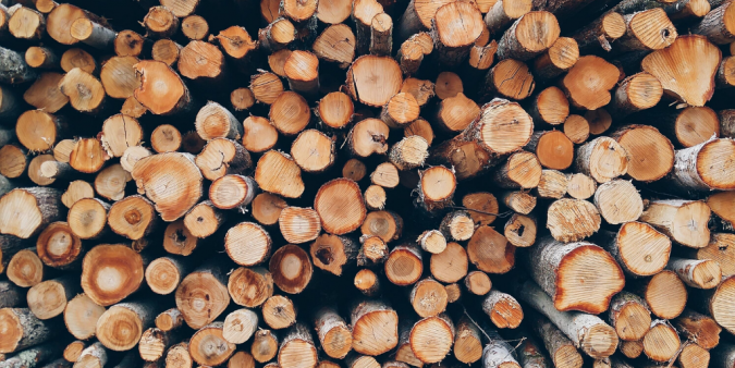 Timber in a wood pile