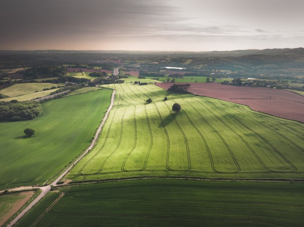 Fields in the countryside